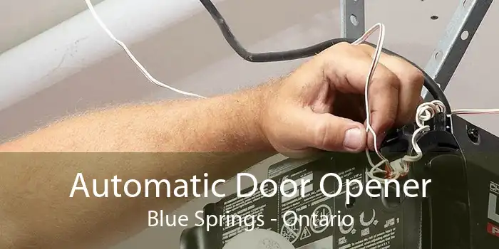 Automatic Door Opener Blue Springs - Ontario