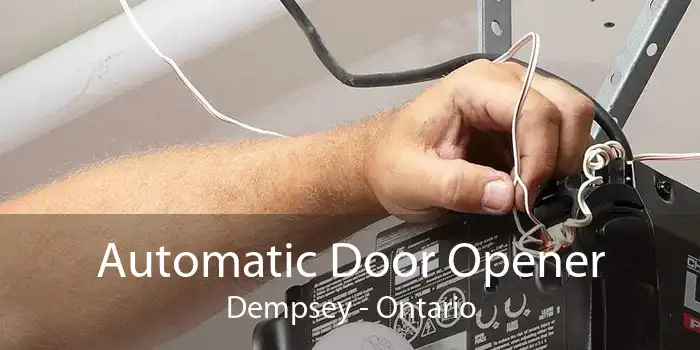 Automatic Door Opener Dempsey - Ontario