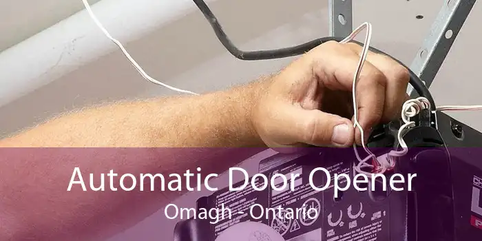 Automatic Door Opener Omagh - Ontario