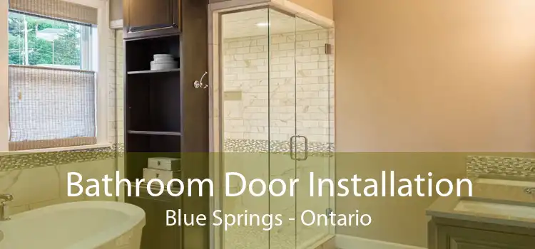 Bathroom Door Installation Blue Springs - Ontario