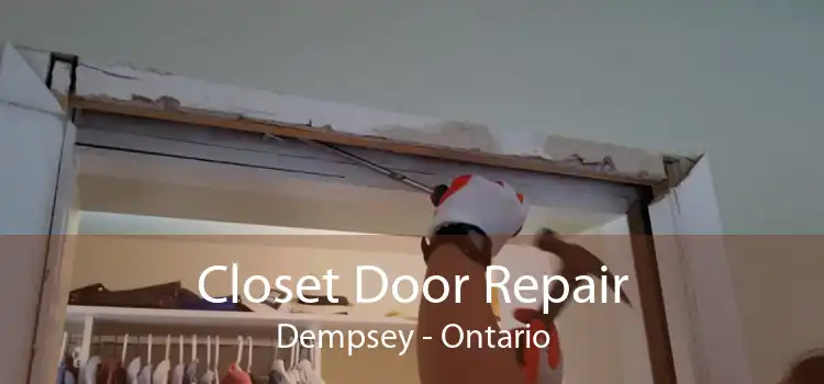 Closet Door Repair Dempsey - Ontario