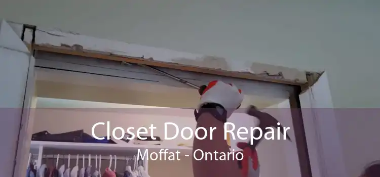Closet Door Repair Moffat - Ontario