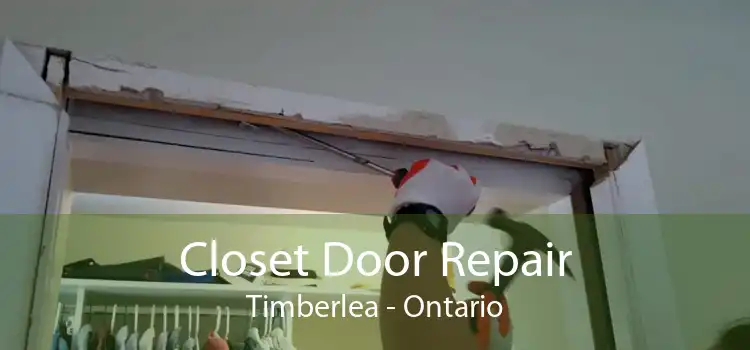 Closet Door Repair Timberlea - Ontario