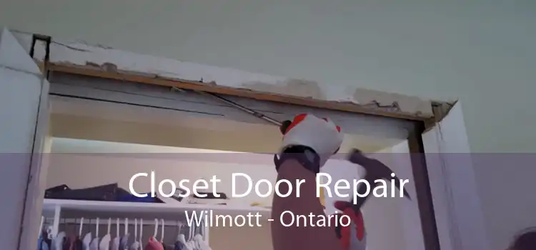 Closet Door Repair Wilmott - Ontario
