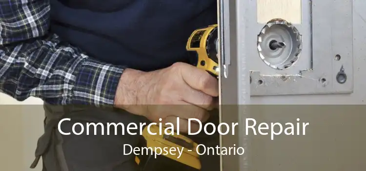 Commercial Door Repair Dempsey - Ontario