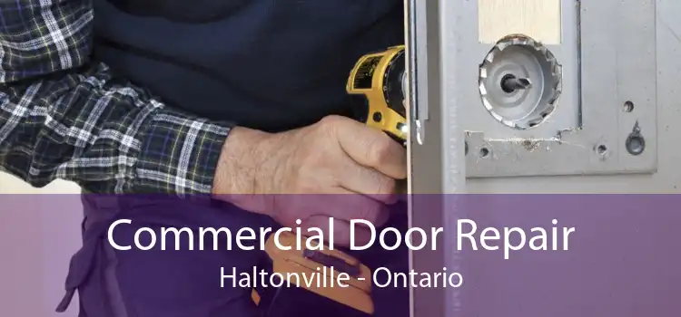 Commercial Door Repair Haltonville - Ontario