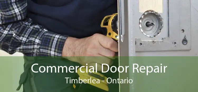 Commercial Door Repair Timberlea - Ontario