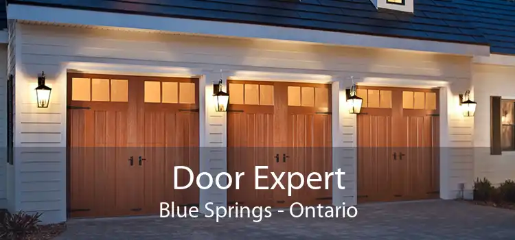 Door Expert Blue Springs - Ontario