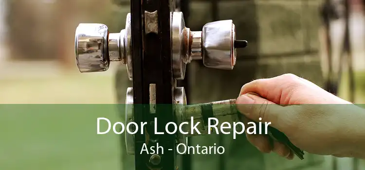 Door Lock Repair Ash - Ontario