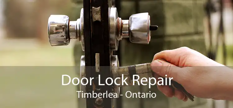 Door Lock Repair Timberlea - Ontario