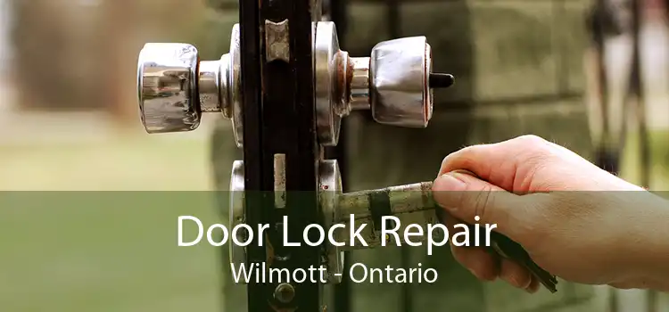Door Lock Repair Wilmott - Ontario
