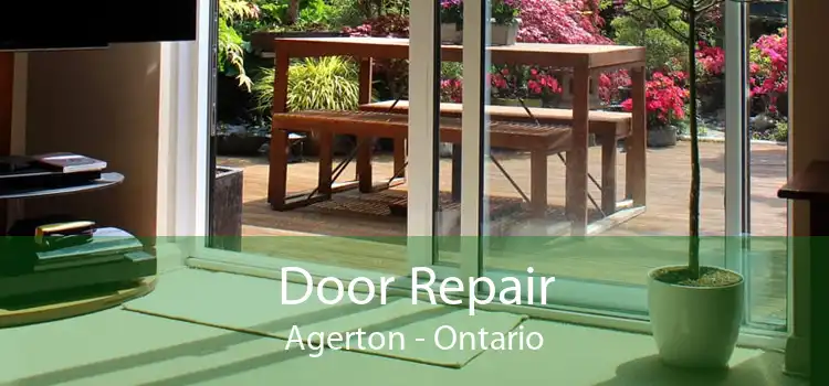 Door Repair Agerton - Ontario