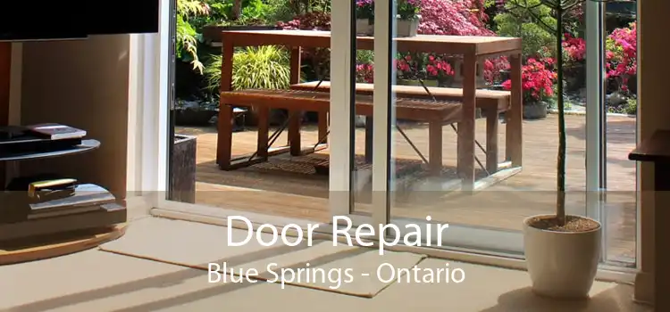 Door Repair Blue Springs - Ontario