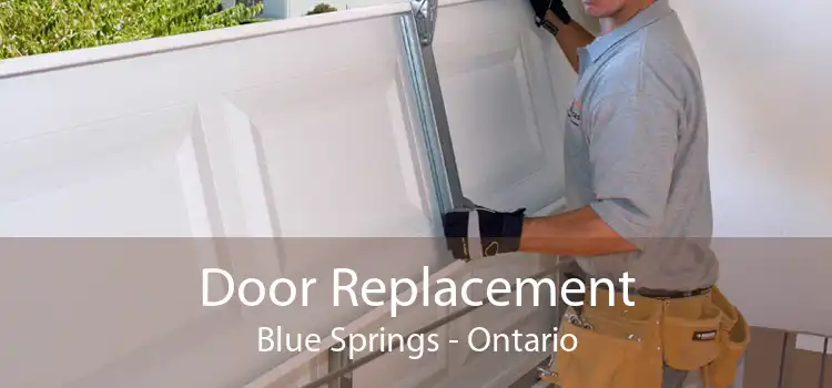 Door Replacement Blue Springs - Ontario