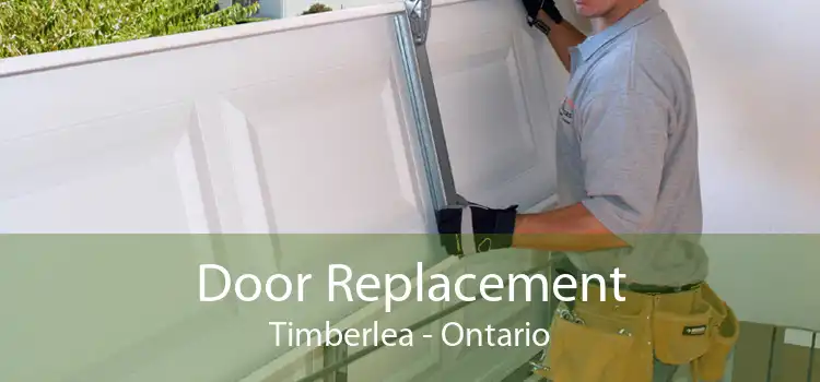 Door Replacement Timberlea - Ontario