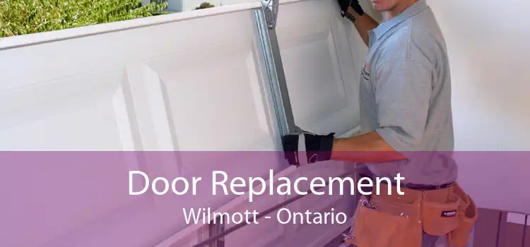 Door Replacement Wilmott - Ontario