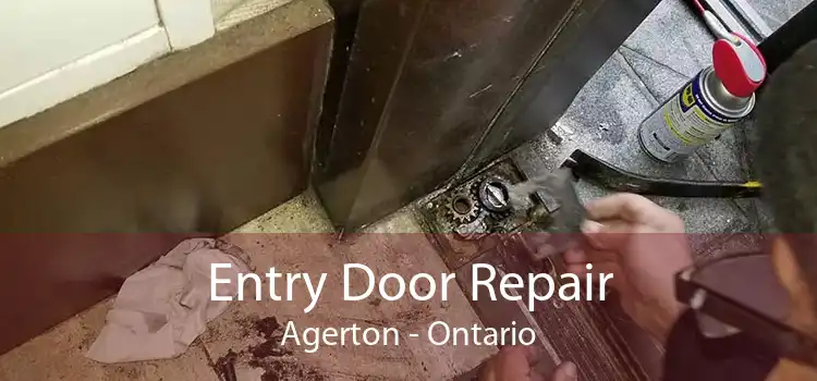 Entry Door Repair Agerton - Ontario