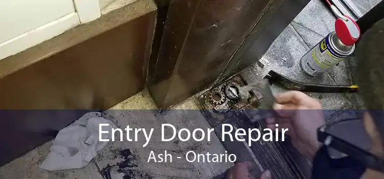 Entry Door Repair Ash - Ontario