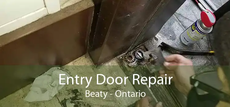 Entry Door Repair Beaty - Ontario