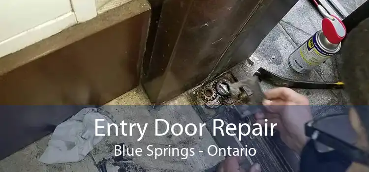 Entry Door Repair Blue Springs - Ontario