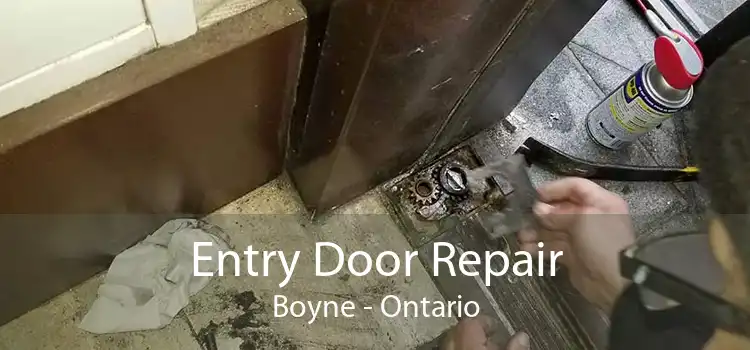 Entry Door Repair Boyne - Ontario