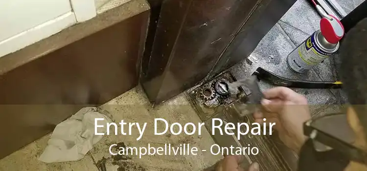 Entry Door Repair Campbellville - Ontario