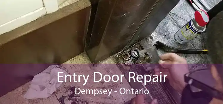 Entry Door Repair Dempsey - Ontario