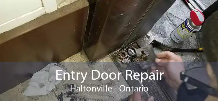 Entry Door Repair Haltonville - Ontario