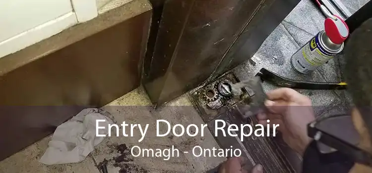 Entry Door Repair Omagh - Ontario