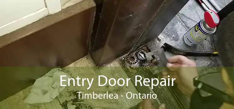 Entry Door Repair Timberlea - Ontario