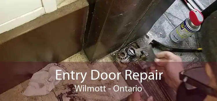 Entry Door Repair Wilmott - Ontario