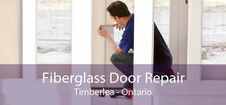 Fiberglass Door Repair Timberlea - Ontario