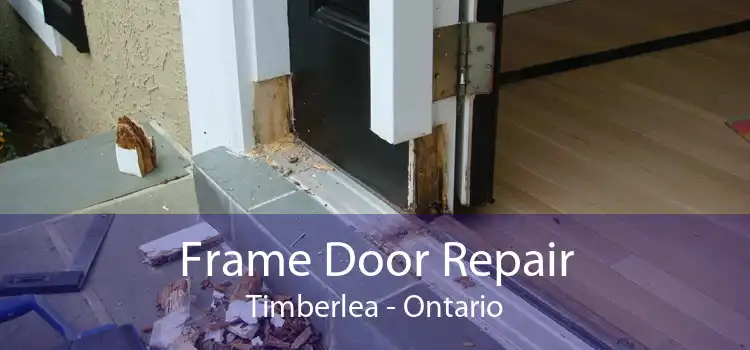 Frame Door Repair Timberlea - Ontario