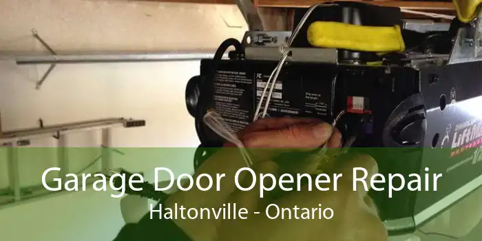 Garage Door Opener Repair Haltonville - Ontario