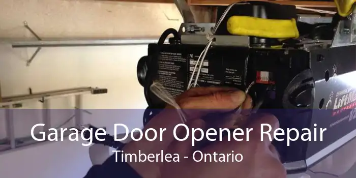 Garage Door Opener Repair Timberlea - Ontario