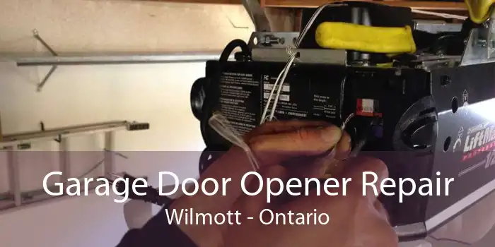 Garage Door Opener Repair Wilmott - Ontario
