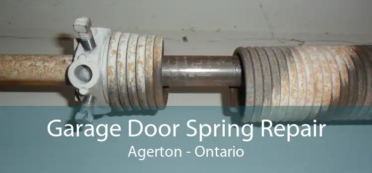 Garage Door Spring Repair Agerton - Ontario