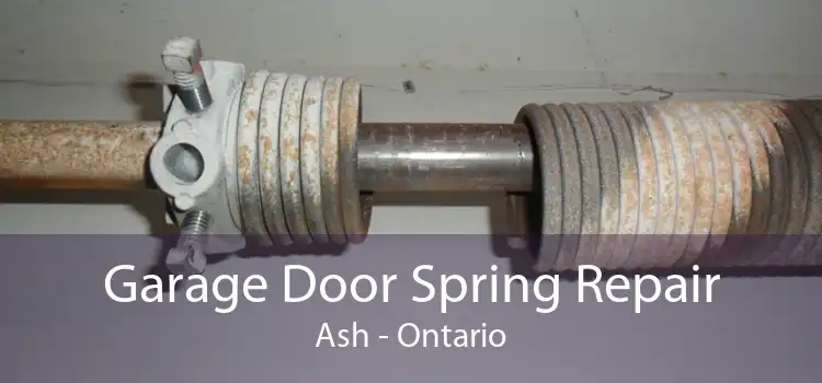 Garage Door Spring Repair Ash - Ontario