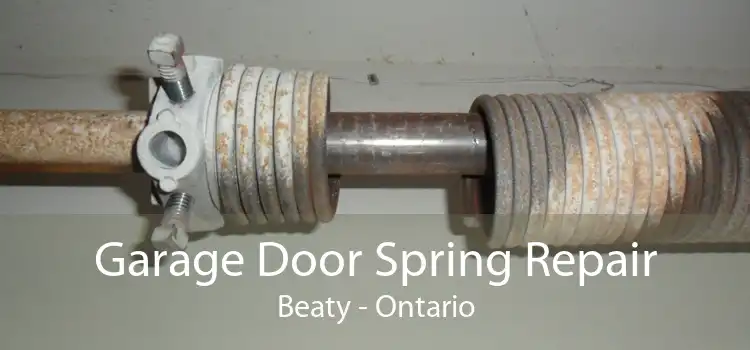 Garage Door Spring Repair Beaty - Ontario
