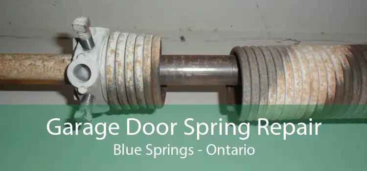 Garage Door Spring Repair Blue Springs - Ontario