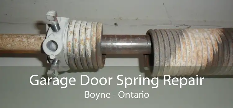 Garage Door Spring Repair Boyne - Ontario