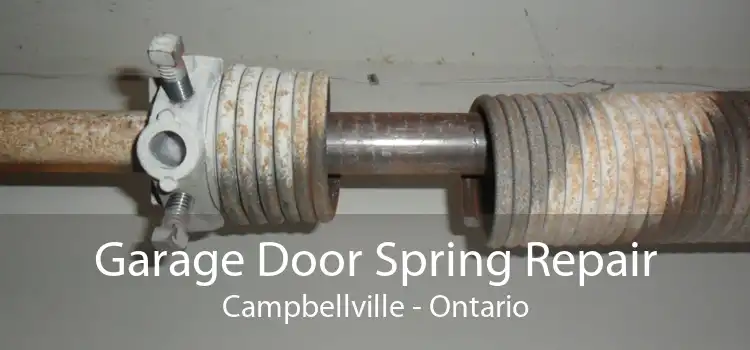 Garage Door Spring Repair Campbellville - Ontario