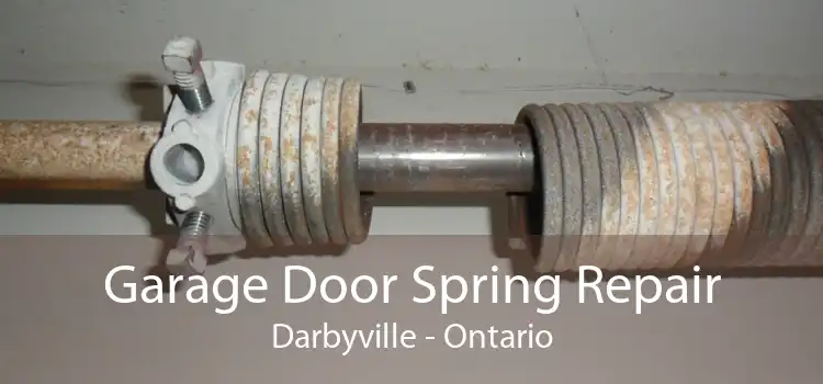 Garage Door Spring Repair Darbyville - Ontario