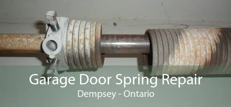 Garage Door Spring Repair Dempsey - Ontario