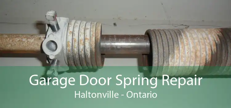 Garage Door Spring Repair Haltonville - Ontario