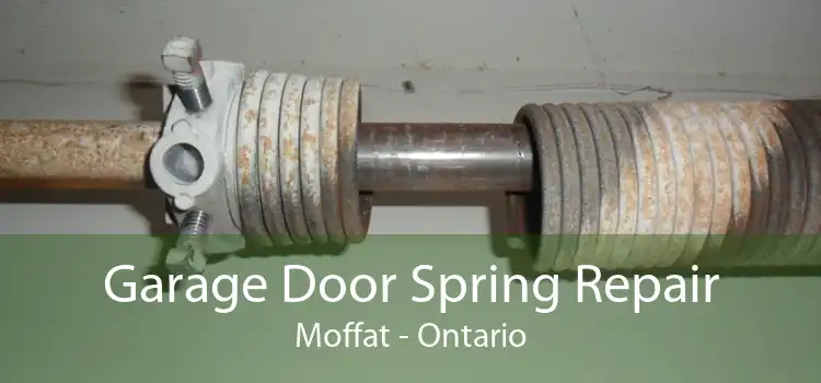 Garage Door Spring Repair Moffat - Ontario