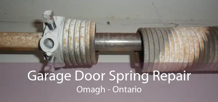 Garage Door Spring Repair Omagh - Ontario