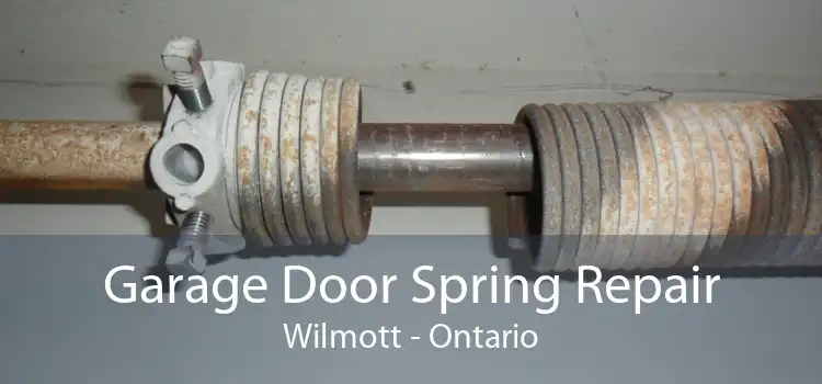 Garage Door Spring Repair Wilmott - Ontario