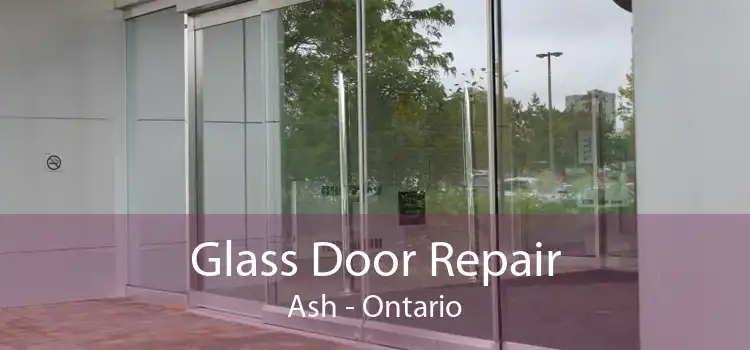 Glass Door Repair Ash - Ontario