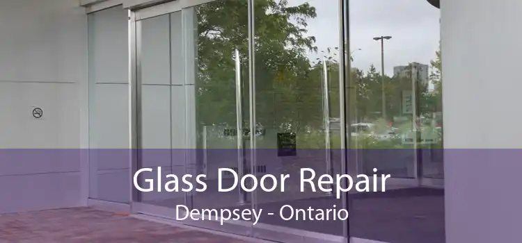 Glass Door Repair Dempsey - Ontario